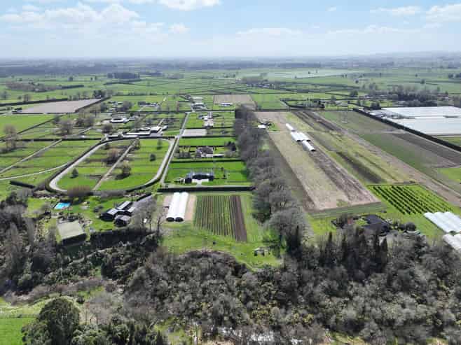 491D Bruntwood Road, Tamahere