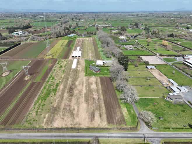 491C Bruntwood Road, Tamahere
