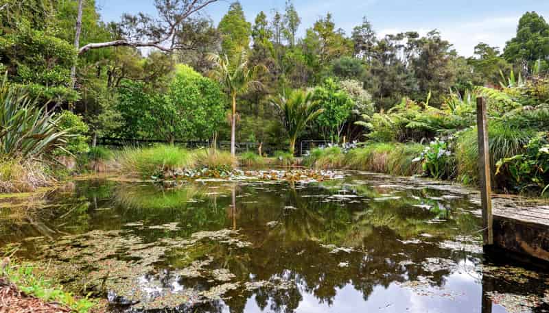 58A Downer Access Road, Kaukapakapa