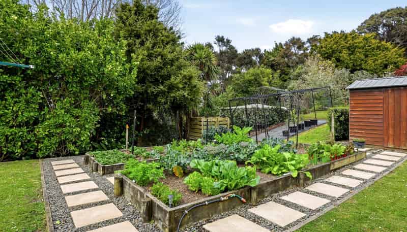 58A Downer Access Road, Kaukapakapa