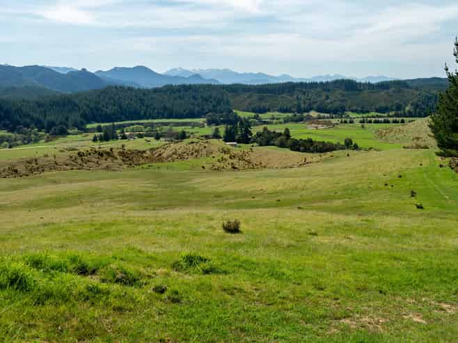 1584 Tadmor-Glenhope Road, Tapawera
