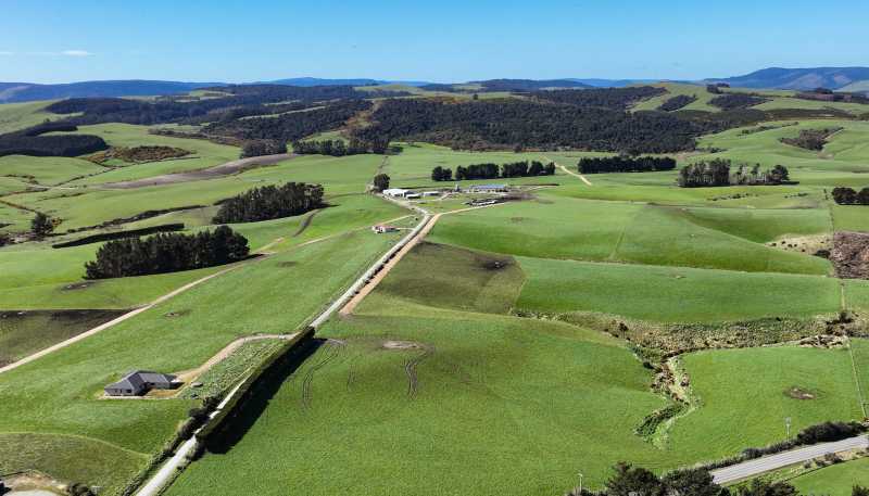 696 Jacks Hill Road, Waimahaka