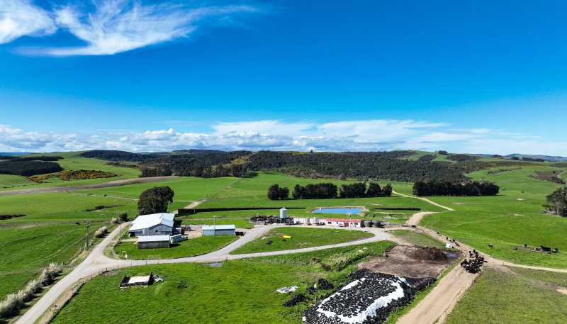 696 Jacks Hill Road, Waimahaka
