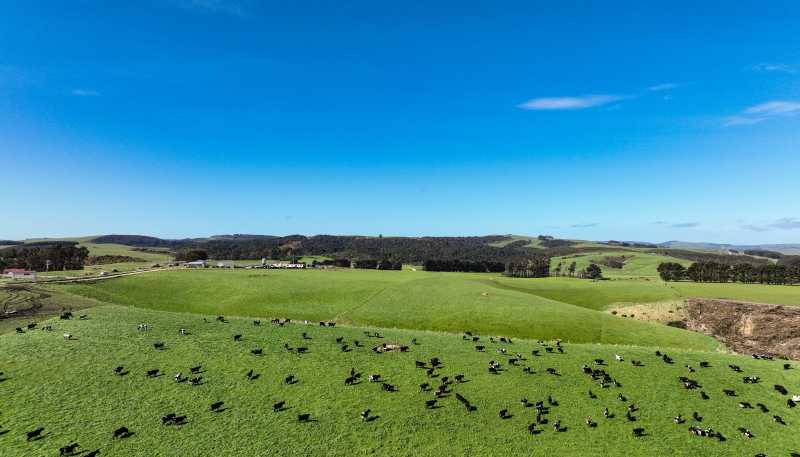 696 Jacks Hill Road, Waimahaka