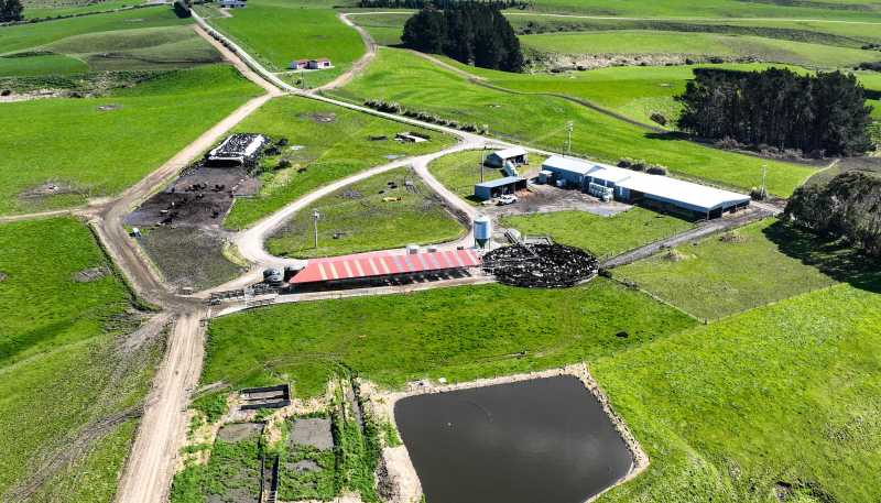 696 Jacks Hill Road, Waimahaka