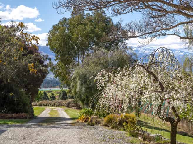 53 Paterson Road, Bannockburn, Cromwell