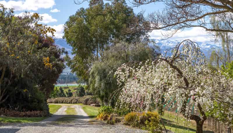 53 Paterson Road, Bannockburn, Cromwell