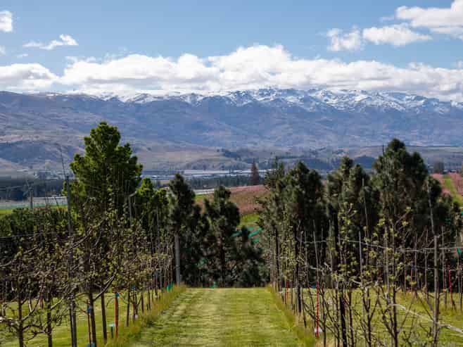53 Paterson Road, Bannockburn, Cromwell