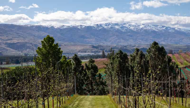 53 Paterson Road, Bannockburn, Cromwell