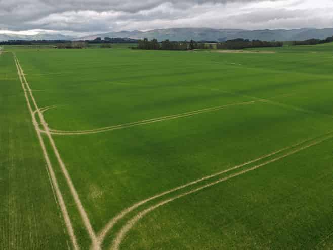 1135 Mandeville Kingston Crossing Road, Riversdale