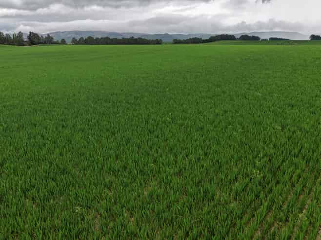 430-500 Nine Mile Road, Riversdale