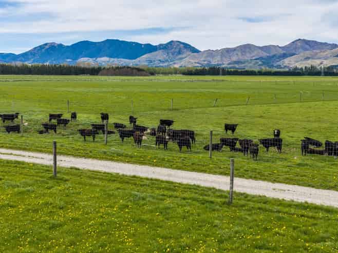 163 Woodbank Road, Hanmer Springs