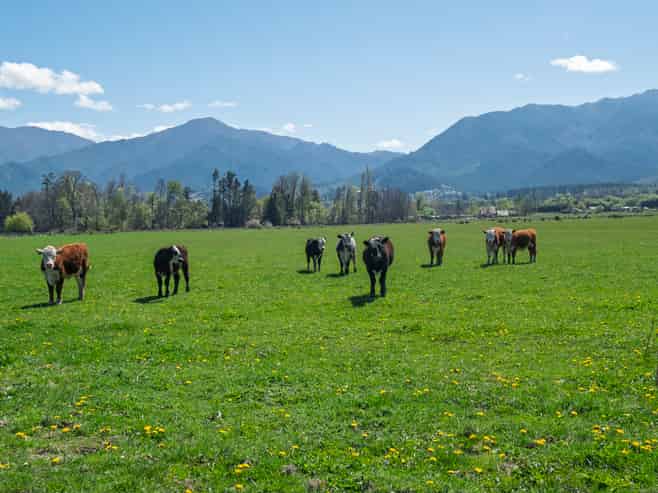 280 Chatterton Road, Hanmer Springs