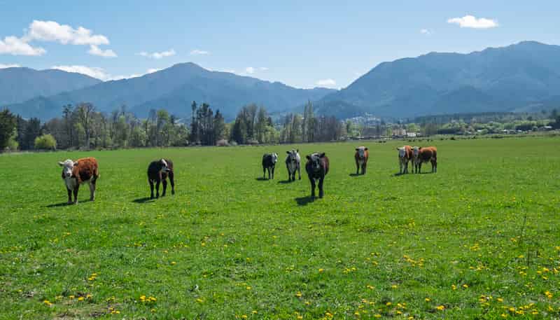 280 Chatterton Road, Hanmer Springs