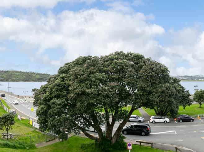380 Evans Bay Parade, Hataitai