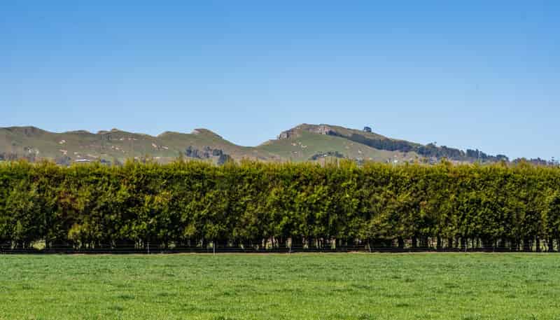 271 Brookvale Road, Havelock North