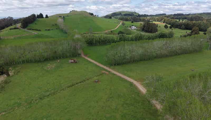 664 Te Pua Road, Kaikohe