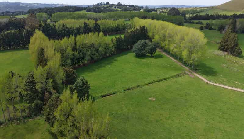 664 Te Pua Road, Kaikohe