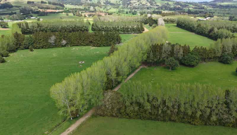 664 Te Pua Road, Kaikohe