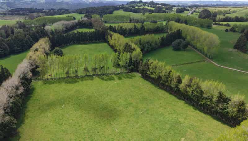 664a Te Pua Road, Kaikohe