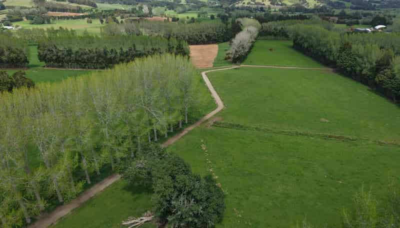 664a Te Pua Road, Kaikohe