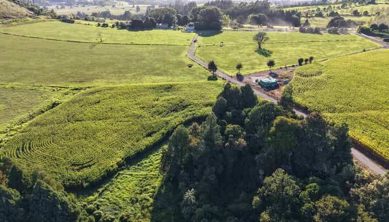 664a Te Pua Road, Kaikohe