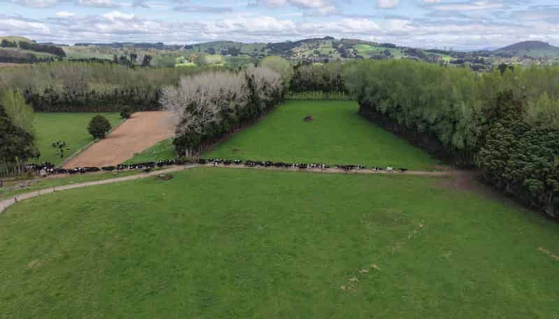 664a Te Pua Road, Kaikohe