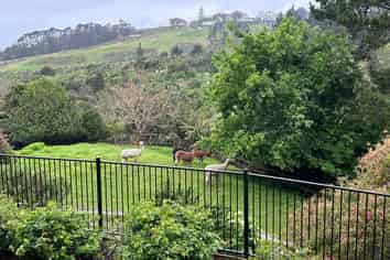 253 Whitford Road, Whitford