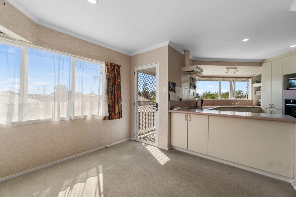 Elevated home with Tranquil Views 4