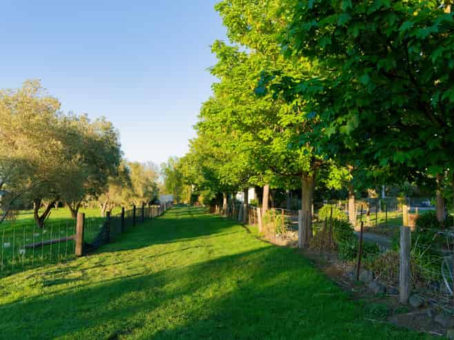 207 Lovers Lane, Kaikoura