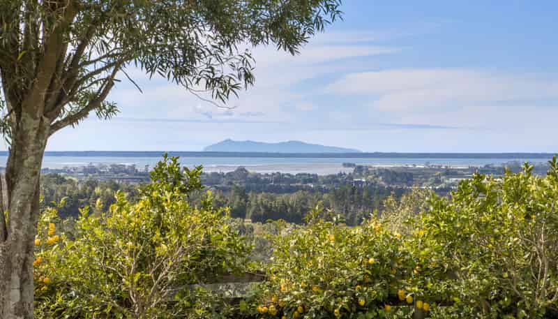 66 Hume Road, Katikati