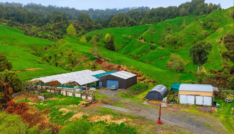 3434 State Highway 4, Aria
