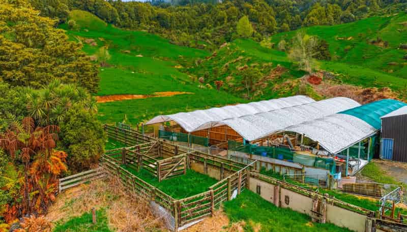 3434 State Highway 4, Aria