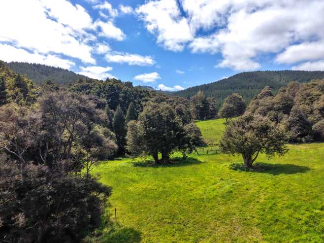 297A Wilson Road, Wellsford