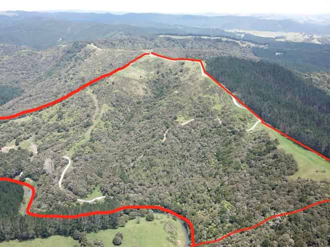 297A Wilson Road, Wellsford