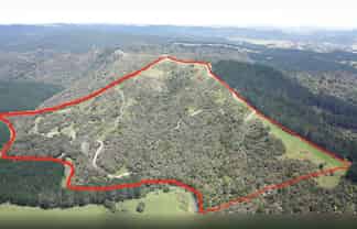 297A Wilson Road, Wellsford