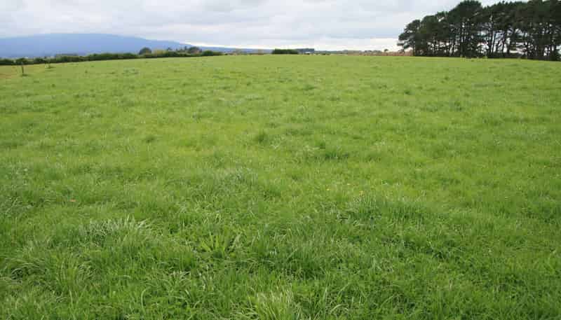 297 Mangawhero Road, Kaponga