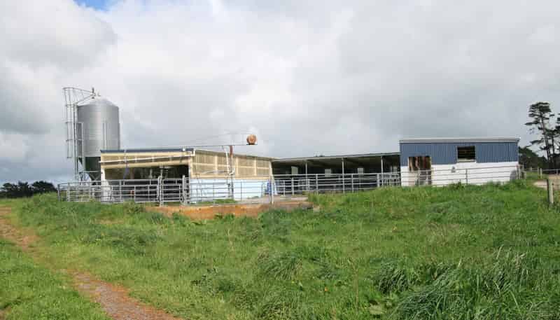 297 Mangawhero Road, Kaponga