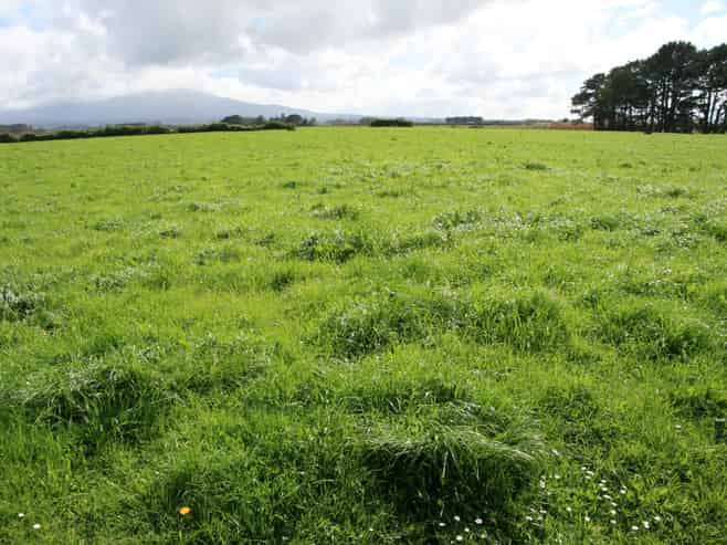 297 Mangawhero Road, Kaponga