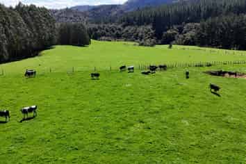 2057 Ohura Mokau Road, Taumarunui