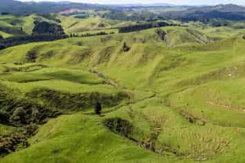 2057 Ohura Mokau Road, Taumarunui