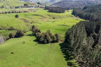 2057 Ohura Mokau Road, Taumarunui
