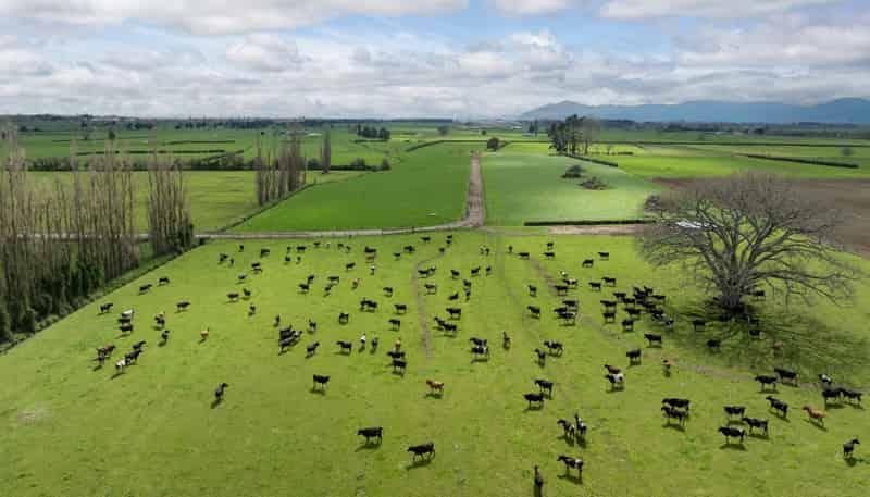 7096 State Highway 27, Matamata