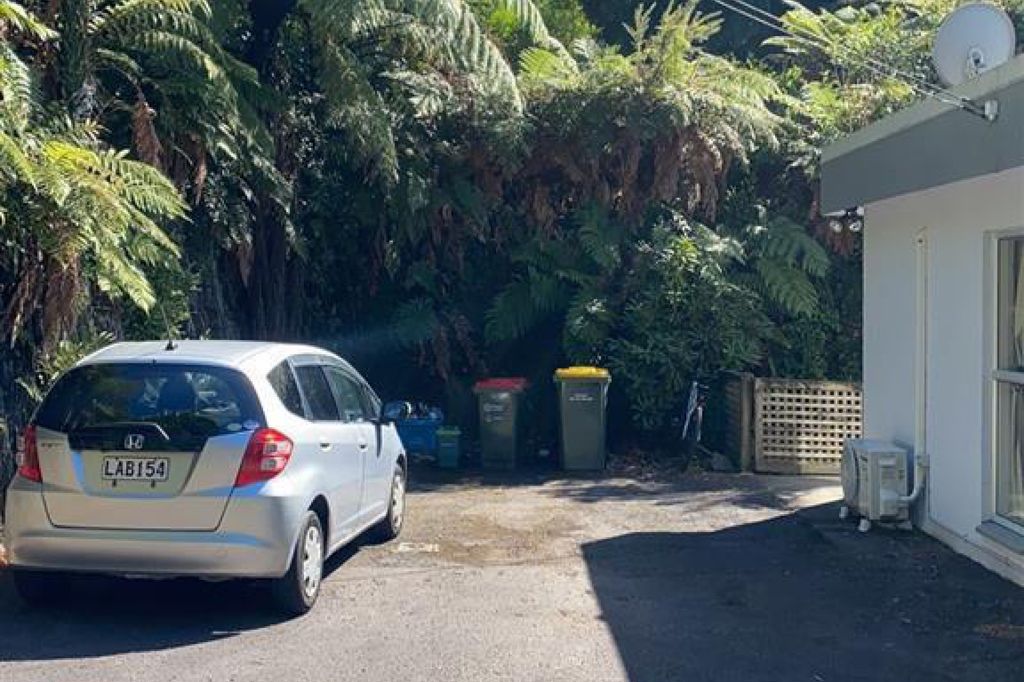 CLEAN AND TIDY 2 BEDROOM UNIT (REAR UNIT) 4