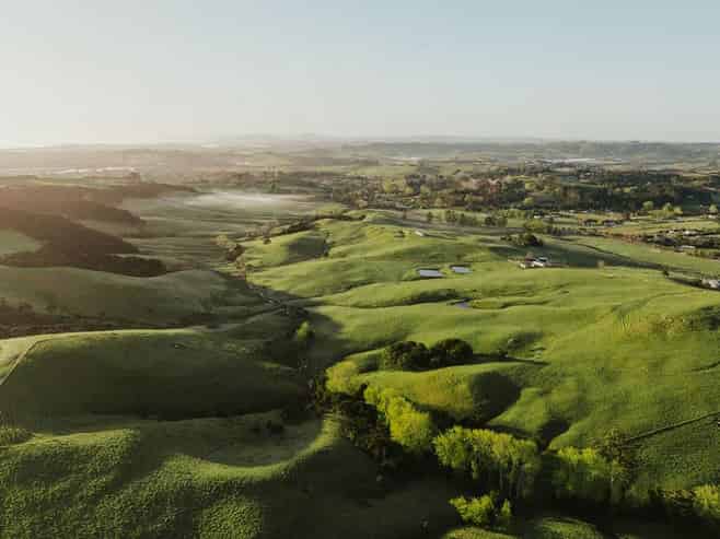 Lot 53/2343 Cove Road, Mangawhai
