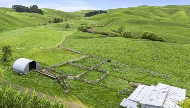 637 to 897 Tahuroa Road, Morrinsville