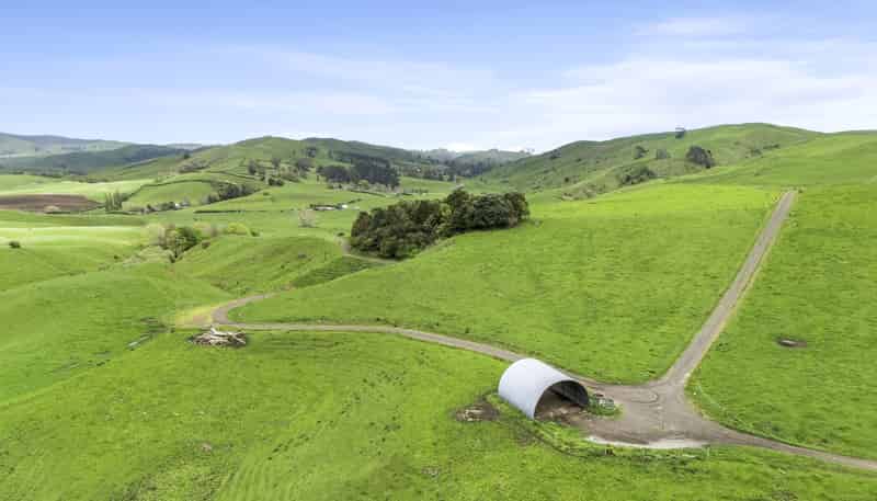 637 to 897 Tahuroa Road, Morrinsville