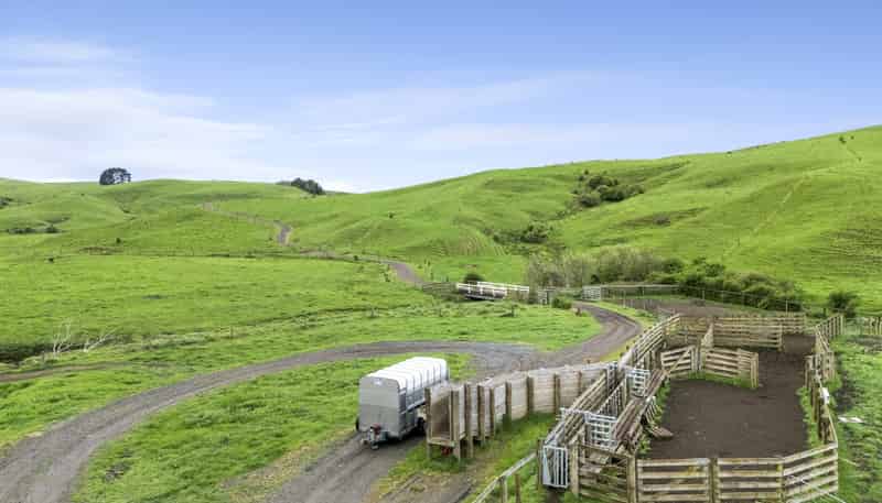 637 to 897 Tahuroa Road, Morrinsville