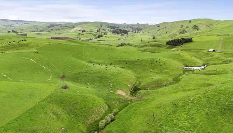 637 to 897 Tahuroa Road, Morrinsville