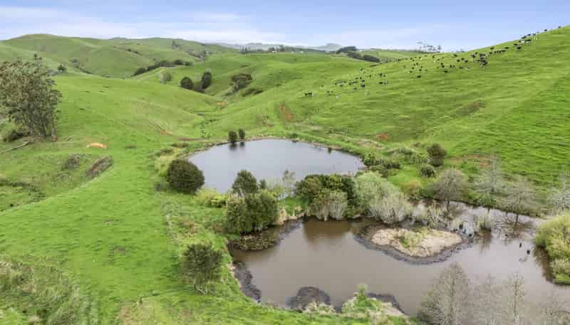 637 to 897 Tahuroa Road, Morrinsville